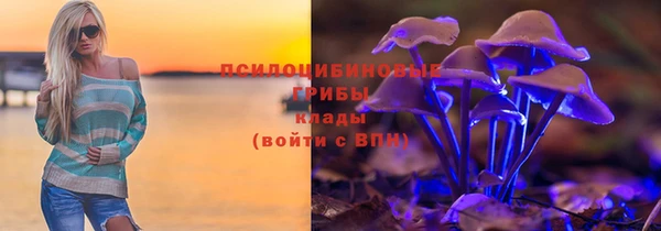каннабис Белокуриха